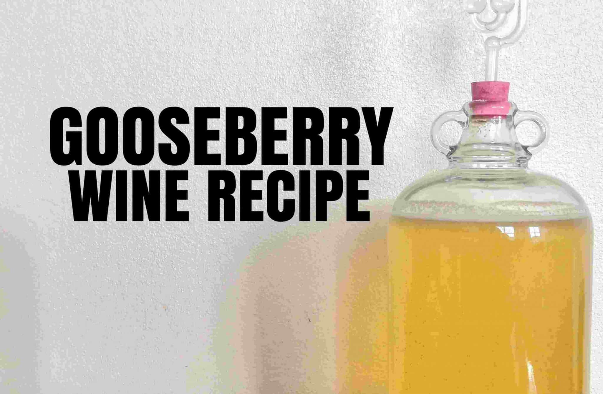 Easy Gooseberry Wine Recipe 25p  a bottle  Erica s 